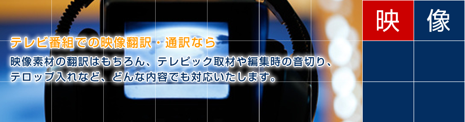 株式会社イデアプラス 翻訳 通訳なら 各言語対応