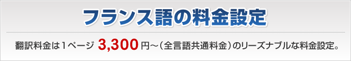 フランス語翻訳料金は1ページ3,240円～